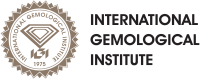 logo_IGI